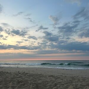 Meet your Posher, Stella